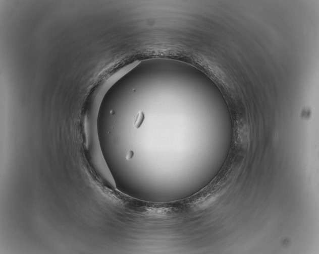 X0000097610450200803071453