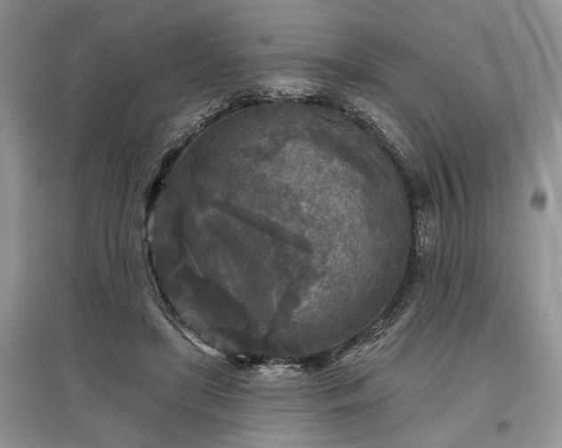 X0000097610451200803071453