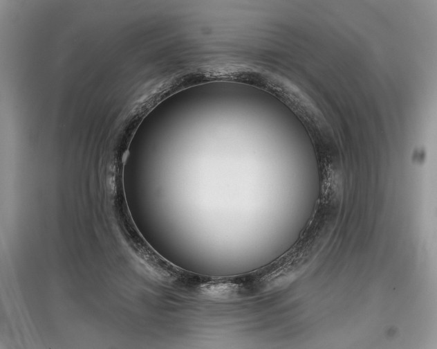 X0000097610452200803071453