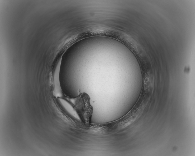 X0000097610454200803071453