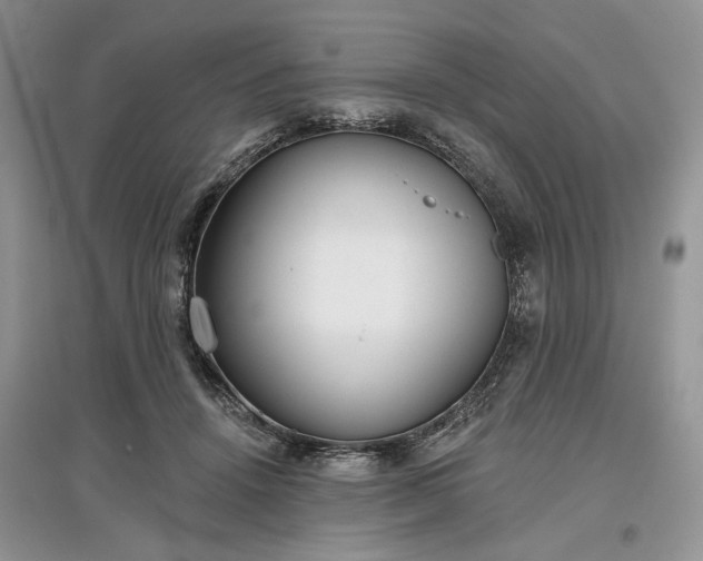 X0000097610456200803071453