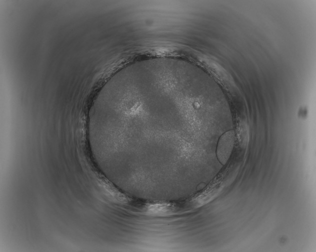 X0000097610461200803071453