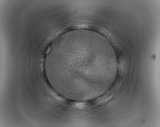 X0000097610462200803071453