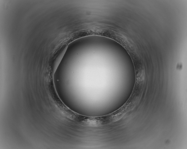 X0000097610464200803071453