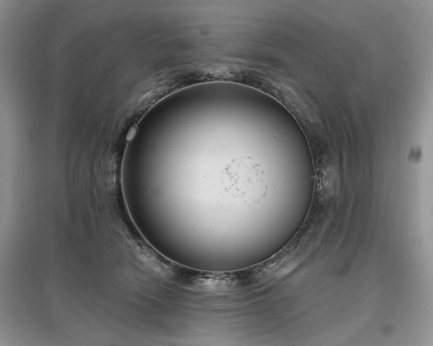 X0000097610466200803071453
