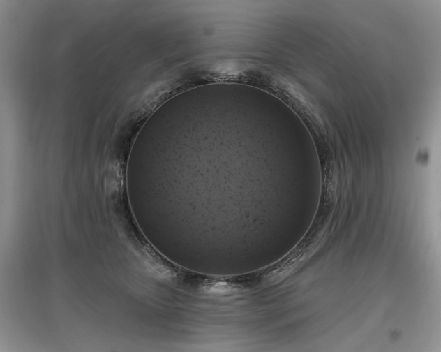 X0000097610467200803071453