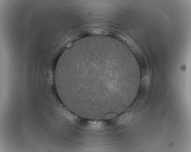 X0000097610469200803071453