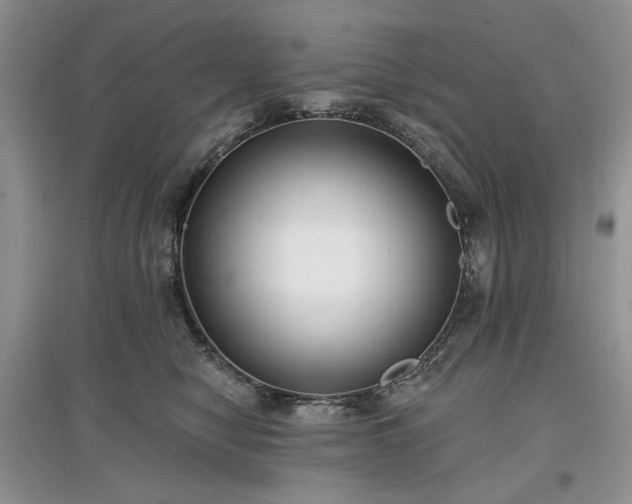 X0000097610470200803071453