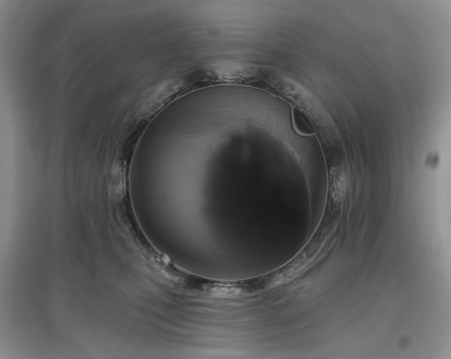 X0000097610471200803071453