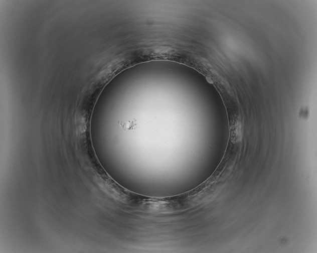 X0000097610472200803071453