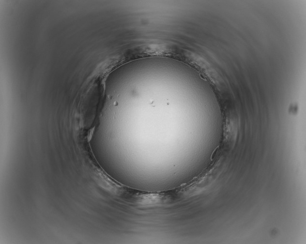 X0000097610473200803071453