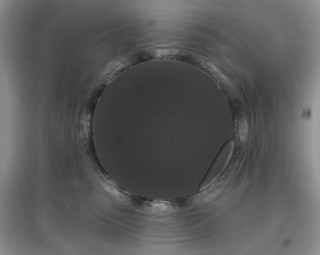 X0000097610475200803071453