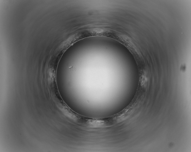 X0000097610476200803071453