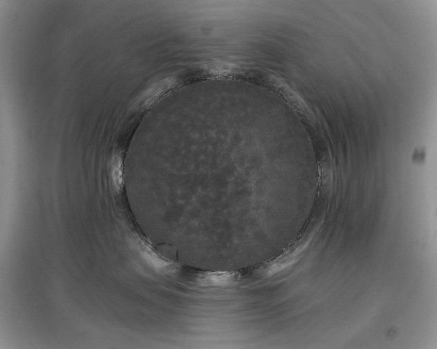 X0000097610479200803071453