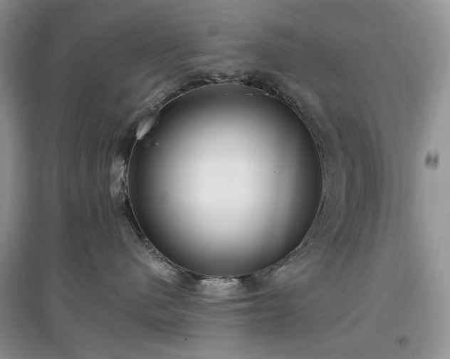 X0000097610480200803071453