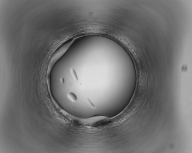 X0000097610481200803071453