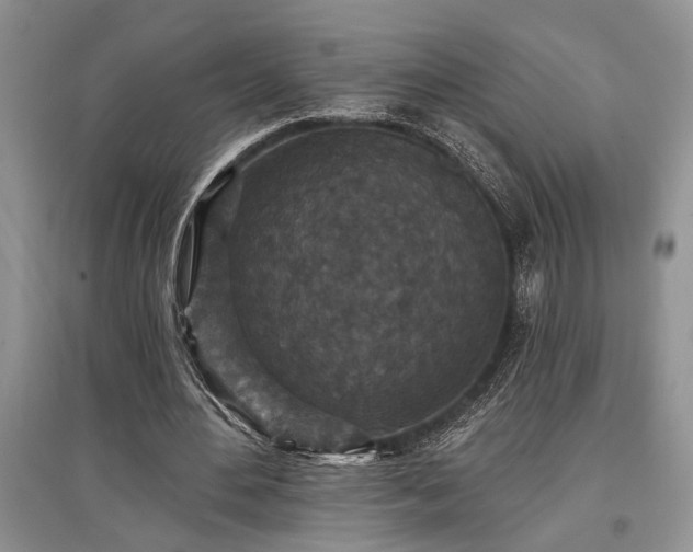 X0000097610484200803071453