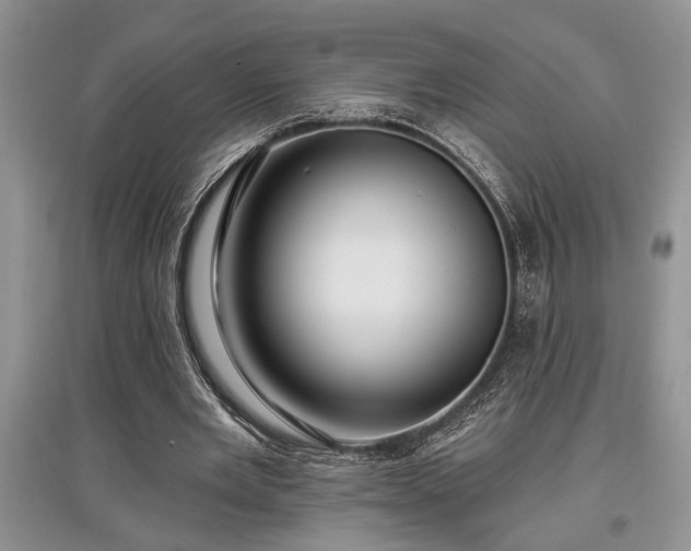 X0000097610485200803071452