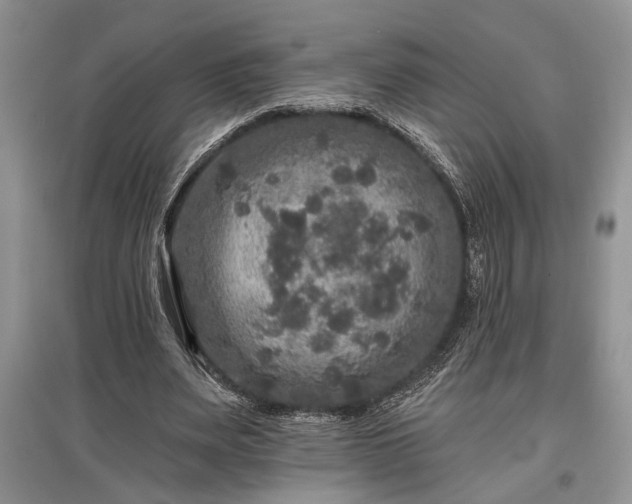 X0000097610487200803071452