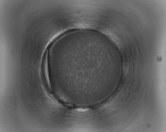 X0000097610488200803071452
