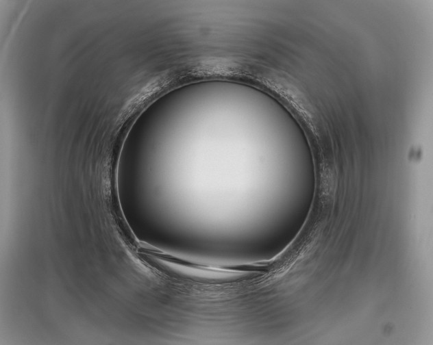 X0000097610489200803071452