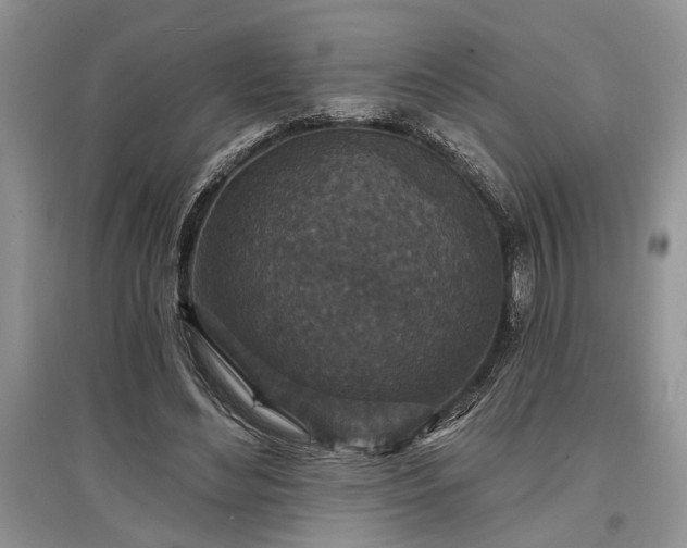 X0000097610492200803071452