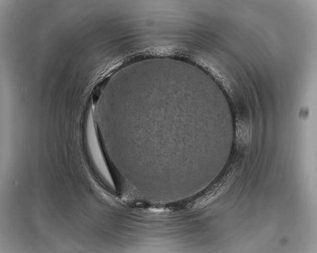 X0000097610493200803071452