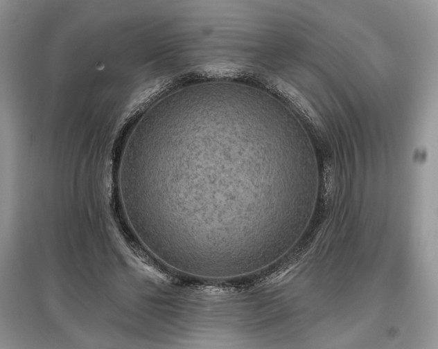 X0000097610494200803071452