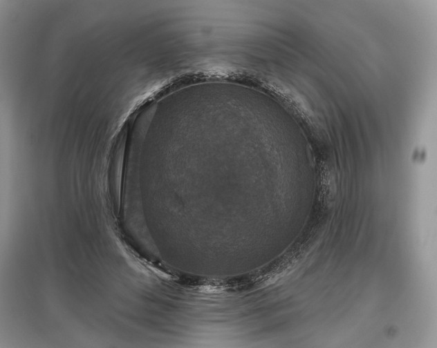 X0000097610496200803071452