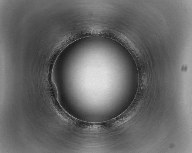 X0000097610497200803071452