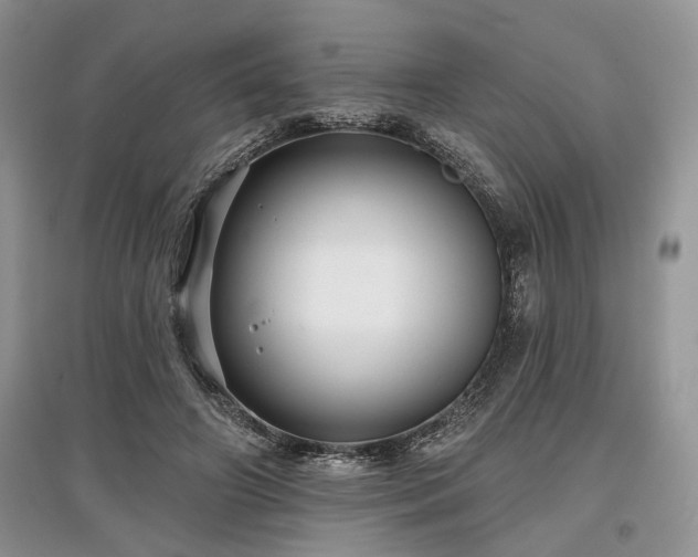 X0000097610498200803071452