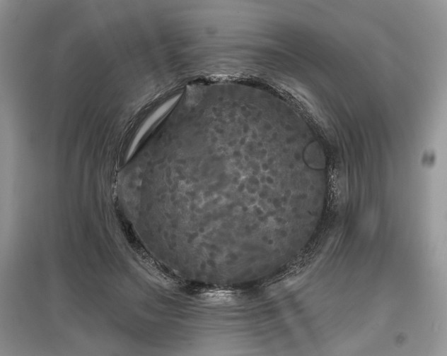 X0000097610499200803071452