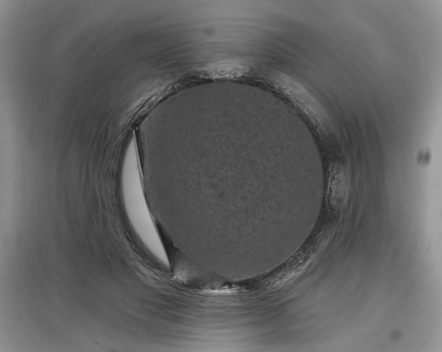 X0000097610501200803071452
