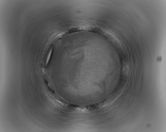 X0000097610502200803071452