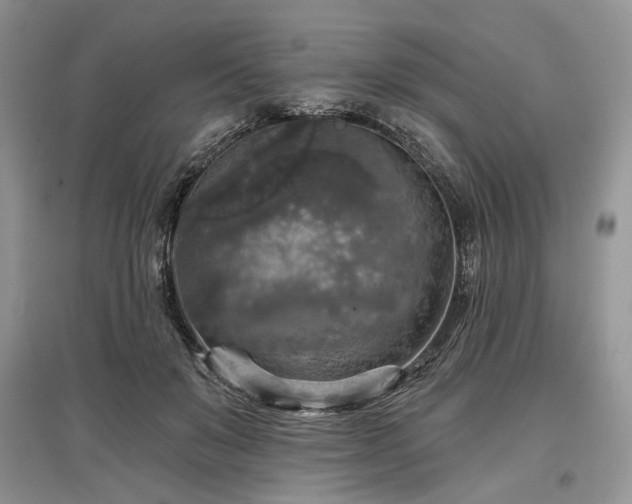X0000097610503200803071452