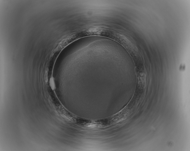 X0000097610504200803071452