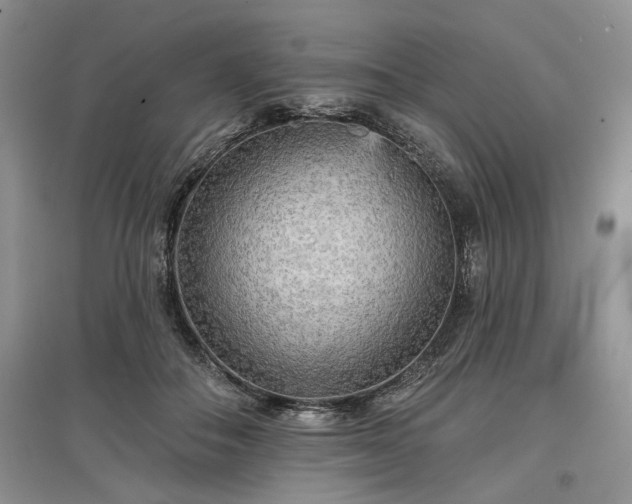 X0000097610506200803071452