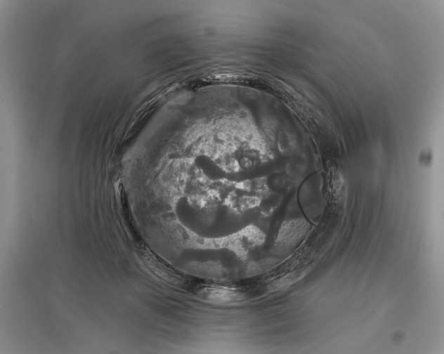 X0000097610507200803071452