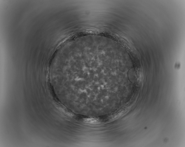 X0000097610511200803071452