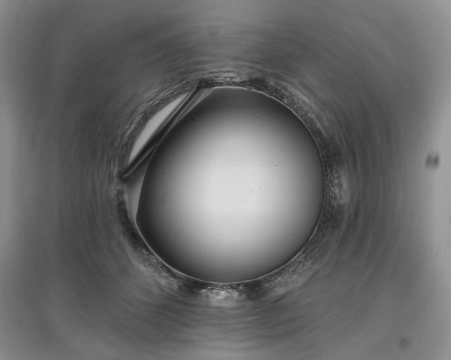 X0000097610512200803071452