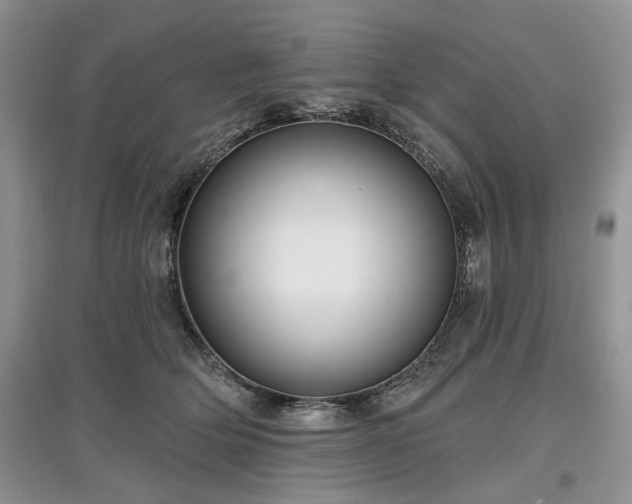 X0000097610514200803071452