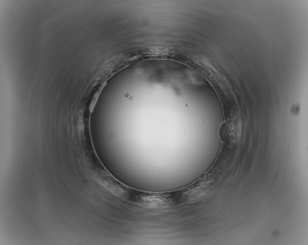 X0000097610516200803071452