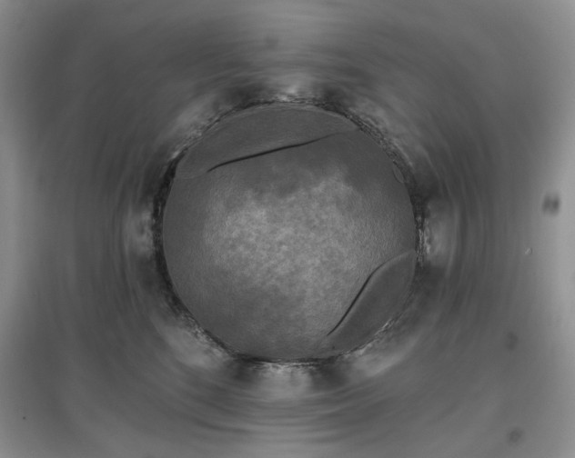 X0000097610520200803071452