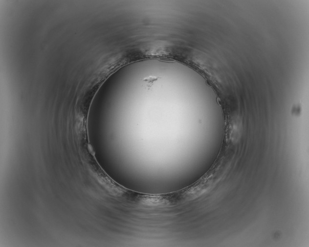 X0000097610521200803071452