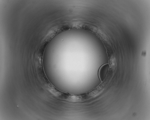 X0000097610522200803071452