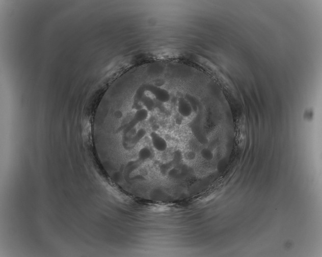 X0000097610523200803071452