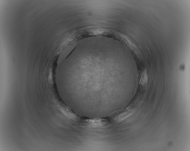 X0000097610524200803071452