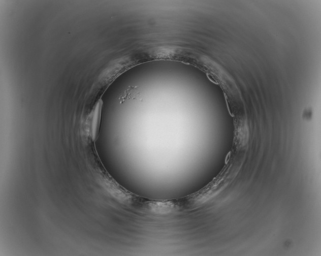 X0000097610525200803071452