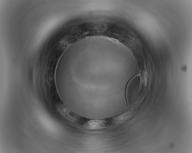 X0000097610526200803071452
