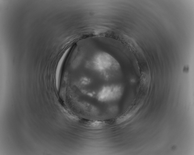 X0000097610527200803071452